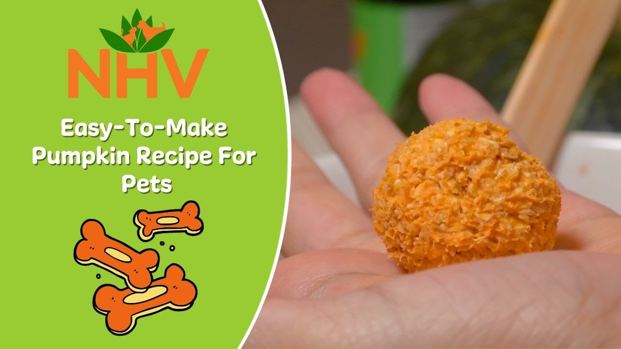 Easy-To-Make Pumpkin Recipe For Pets
