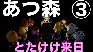 あつまれどうぶつの森森③とたけけ来日
