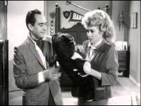 The Beverly Hillbillies - Season 1, Episode 11 (1962) - Elly Races Jethrine - Paul Henning