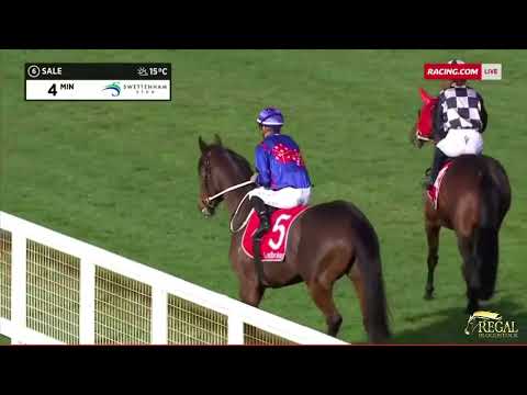 Regal Bloodstock  - Regal Azmon returns with a Class win at Sale