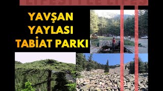 KAHRAMANMARAŞ YAVŞAN YAYLASI TABİAT PARKI