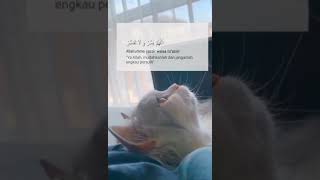 Download lagu story wa#ig#tik tok#snack video terbaru mp3 Download lagu story wa#ig#tik tok#snack video terbaru mp3