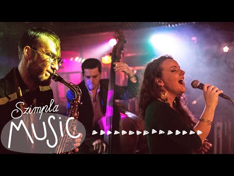 Babcsan Projekt @szimplakert, Lemming Program