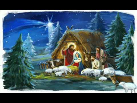 S-a născut - Sandu Donici