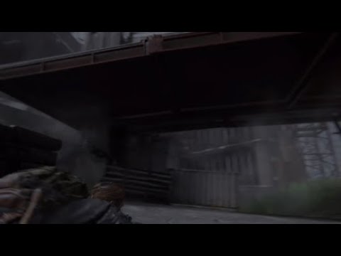 Lev translating a whistle for Abby