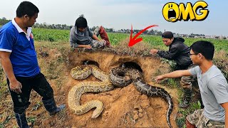 2 Giant Snake Suddenly Attack Group Brave Hunter