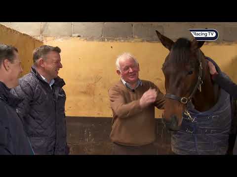 Jimmy Mangan dreaming of Cheltenham Festival glory with SPILLANE'S TOWER