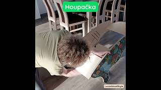 Multifunkční rostoucí židle 6v1 – učící věž, houpačka, stoleček s židličkou - Věda