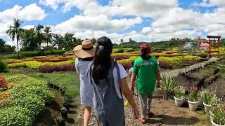 Ina's Garden 2025 Barotac Nuevo, Iloilo