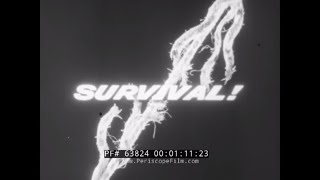 DISASTER AT SEA  1956 SINKING OF THE OCEAN LINER SS ANDREA DORIA   DOCUMENTARY FILM   63824