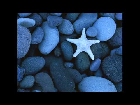 Yusuf Islam And Friends Album (complete)