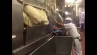 Bimbo Bakeries USA