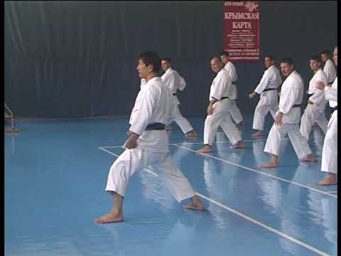Kasuya Hitoshi sensei. Advanced kihon combination.