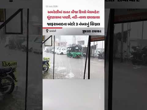 Amreli મા સતત ત્રીજા દિવસે મેઘમહેર! ઘૂંટણસમા પાણી, નદી-નાળા છલકાયા, જાફરાબાદના બંદરે 3 નંબરનુ સિગ્નલ Amreli મા સતત ત્રીજા દિવસે મેઘમહેર! ઘૂંટણસમા પાણી, નદી-નાળા છલકાયા, જાફરાબાદના બંદરે 3 નંબરનુ સિગ્નલ