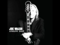 Joe Walsh - Funk 50