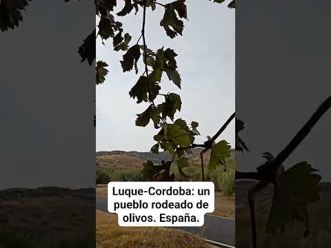 LUQUE-CÓRDOBA: UN PUEBLO RODEADO DE OLIVOS. España.
