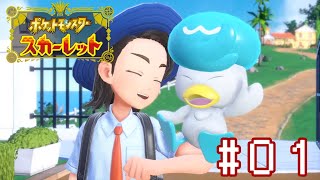 上陸！パルデア地方！【#1】