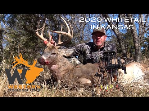 Whitetail Hunting in Kansas