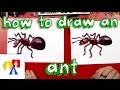 How To Draw An Ant