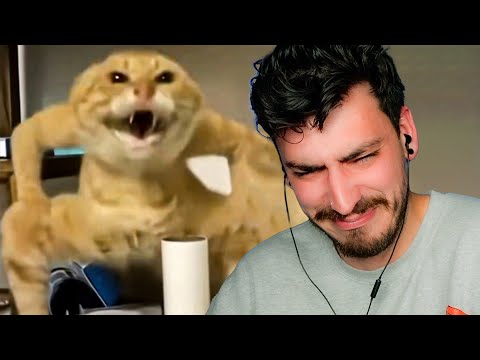 THE HARDEST I'VE EVER LAUGHED (Try Not To Laugh 34)