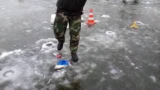Ссылка