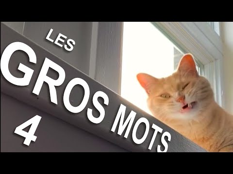 LES GROS MOTS 4
