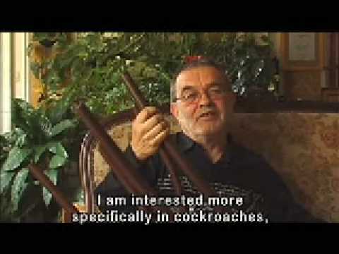 Fernando Arrabal - nature