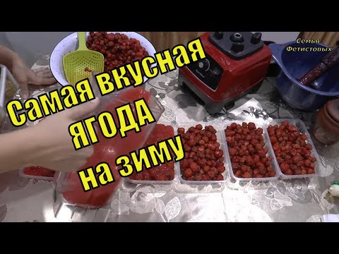 Самая вкусная ягода на зиму. БЯКА обыкновенная. // Товары из Иваново Т-Декор