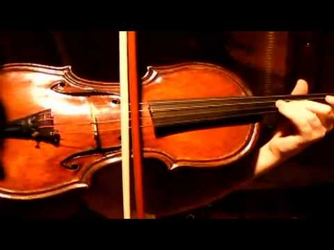 IL VIOLINO DI LUIGI - Modena City Ramblers