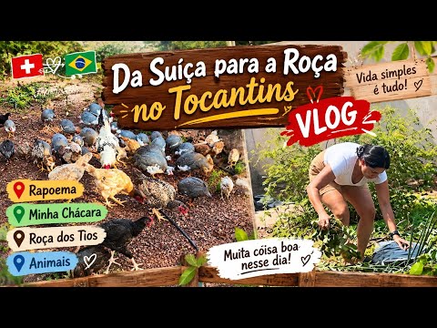 VLOGÃO NO TOCANTINS 🌿 Fui pra Arapoema, Minha Chácara e a Roça dos Meus Tios! 🐓