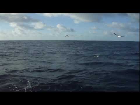 TERRA AZUL na Marina de Vila Franca do Campo.2018 - Outubro