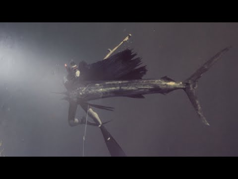 Freediving TV - About "Fishballs On A Sunday Morning" - A Spearfishing and freediving film from 1969