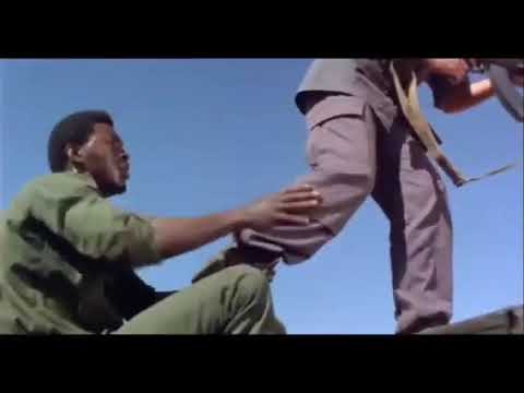 The Gods must be crazy..Funny fighting scene