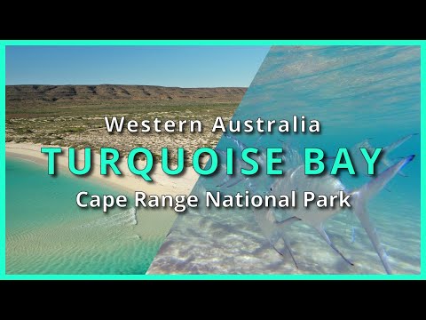 Turquoise Bay, Ningaloo Reef, Cape Range National Park, Western Australia - 4K UHD