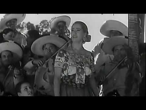 El herradero (video musical de Lucha Reyes) HD