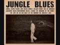c w stoneking,jungle lullaby 
