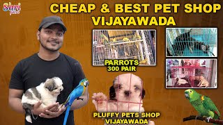 Wholesale Pet Shop Vijayawada | Cheapest Pet Shop in Vijayawada | Breed Dogs | Parrots