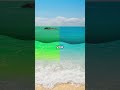 Why Don T Those Oceans Mix Together Shorts Viral Animals Sea