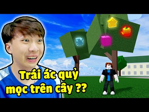 Trái Ác Quỷ Mọc Trên Cây ?? Vinh Lần Đầu Chơi Blox Fruit Nhưng Lạ Lắm 🤣 CHUYỆN GÌ XẢY RA THẾ ??