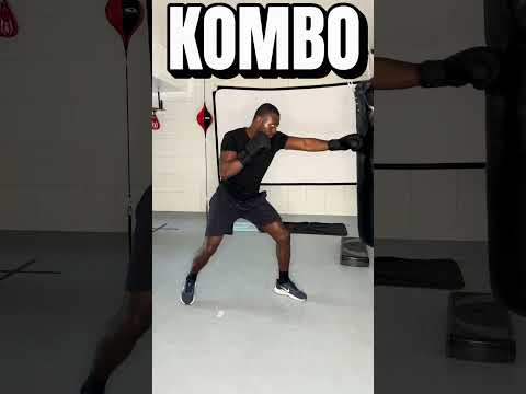 Ultimate MMA KOMBO Demonstration