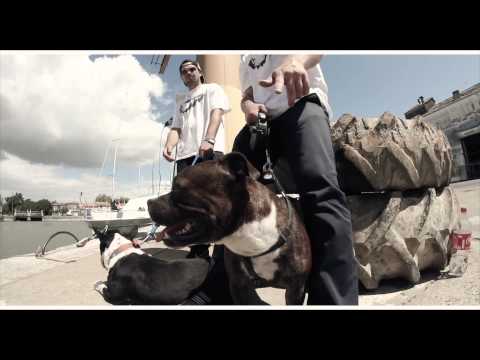 Kayak16di - Les sessions de l'ours polaire - 4e coup d'griffes - Will brok