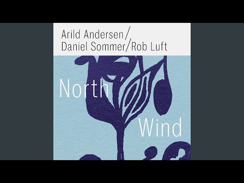 North Wind online metal music video by ARILD ANDERSEN