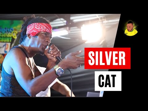 Silver Cat in Rub-A-Dub Style