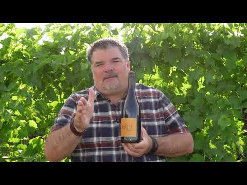 Erath 2020 Oregon Pinot Noir - Wine Review