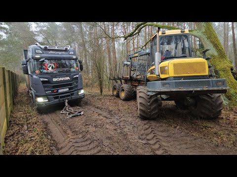 Forest Adventure #481 Forwarder PONSSE vs ZAKOPANA SCANIA