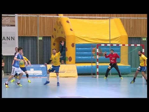 Handball der Stiere: Herbe Niederlage gegen Hamburg