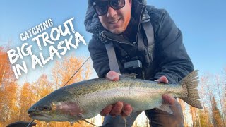 Catching Some Big Alaskan Rainbow Trout on Twitching Jigs!