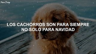 Sia - Puppies Are Forever (Subtitulada Español)