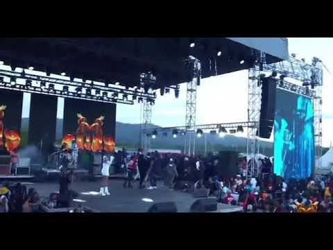 Pablo yg vs Malie donn sting 🐝 2022 @ValiantMusicVEVO-re9qn @doveymagnum571 @KraffGad @Jahvillani @d