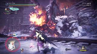 熟女が頑張る！MONSTER HUNTER ワールドアイスボーンをたしなんでいく